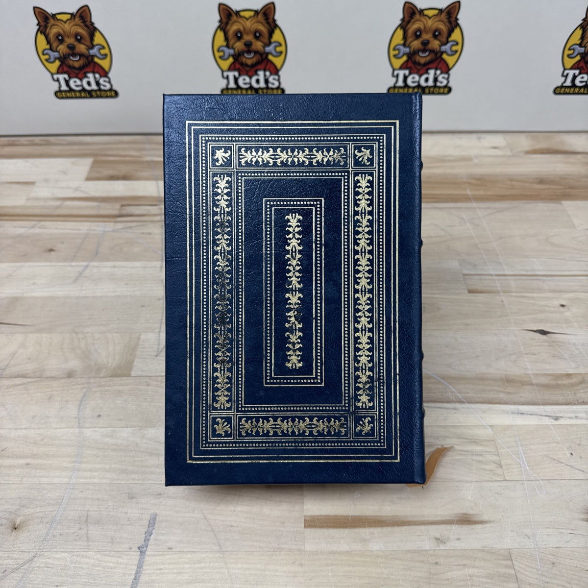 Andrew Johnson Biography by Hans L
