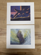 's The Lion King Lithographs And Epigraph 1995 Collector Set VHS
